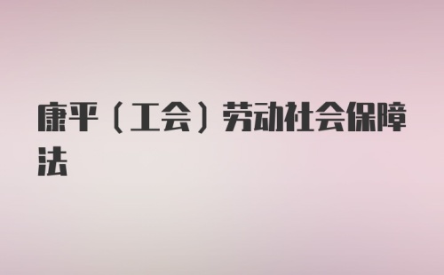 康平（工会）劳动社会保障法