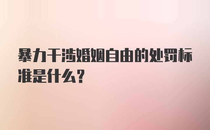 暴力干涉婚姻自由的处罚标准是什么？