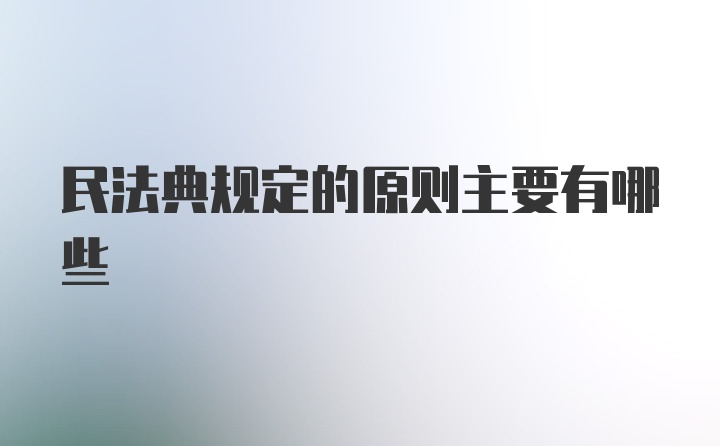 民法典规定的原则主要有哪些