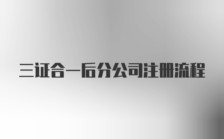 三证合一后分公司注册流程