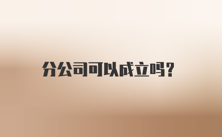 分公司可以成立吗？