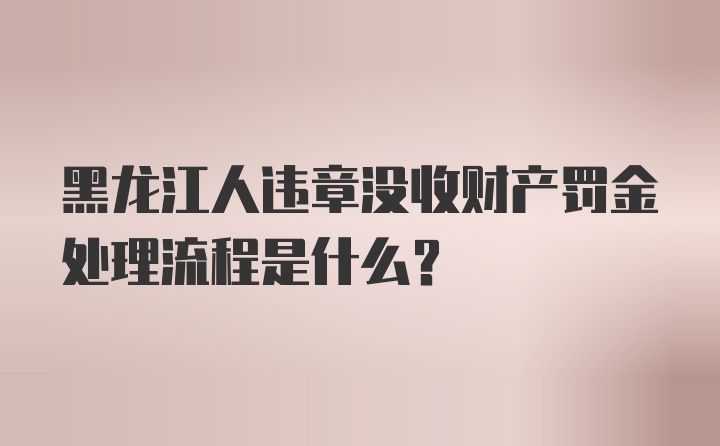 黑龙江人违章没收财产罚金处理流程是什么？