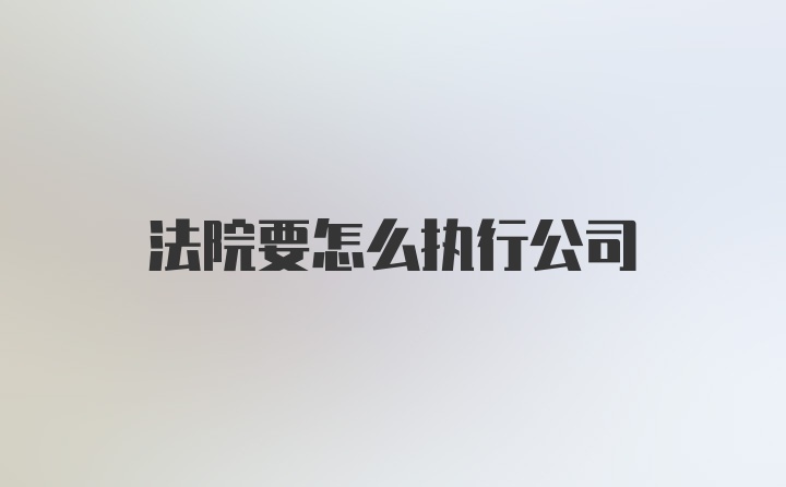 法院要怎么执行公司