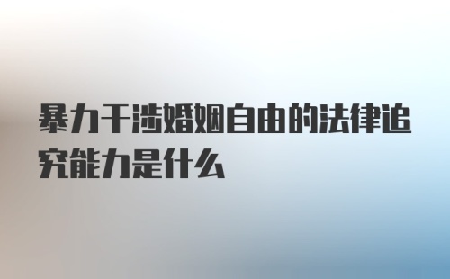 暴力干涉婚姻自由的法律追究能力是什么