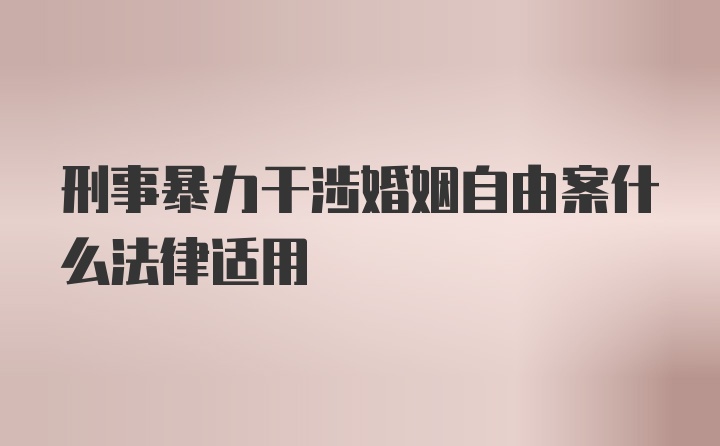 刑事暴力干涉婚姻自由案什么法律适用