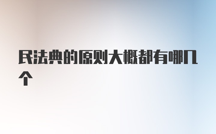 民法典的原则大概都有哪几个