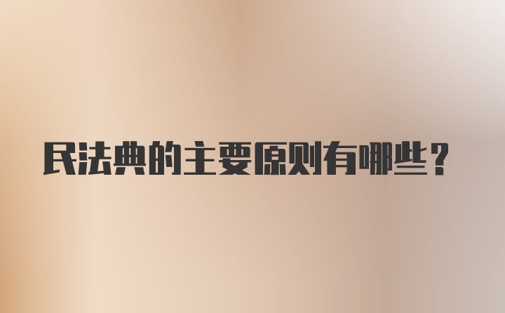 民法典的主要原则有哪些？