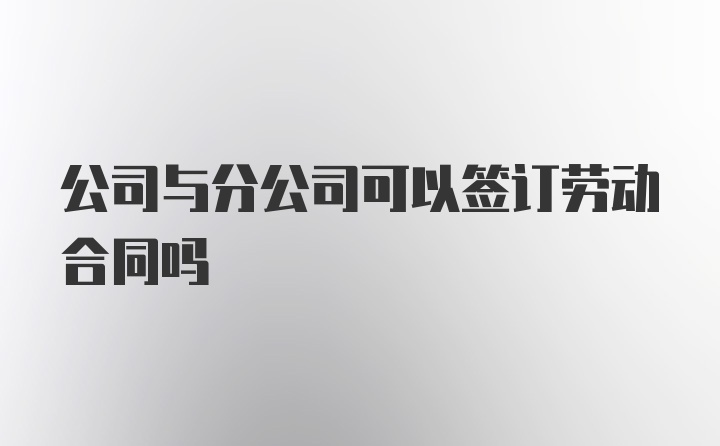 公司与分公司可以签订劳动合同吗