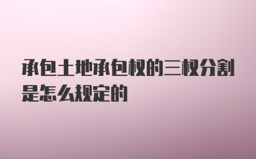 承包土地承包权的三权分割是怎么规定的