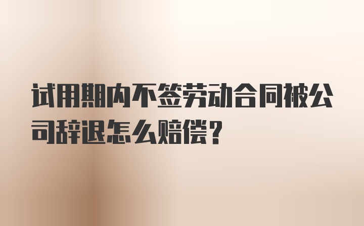 试用期内不签劳动合同被公司辞退怎么赔偿?