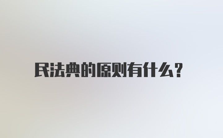 民法典的原则有什么？