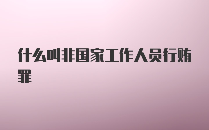 什么叫非国家工作人员行贿罪