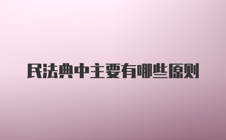 民法典中主要有哪些原则