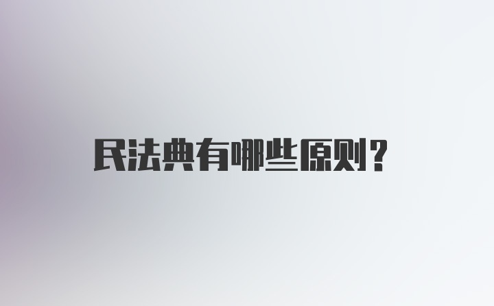 民法典有哪些原则？