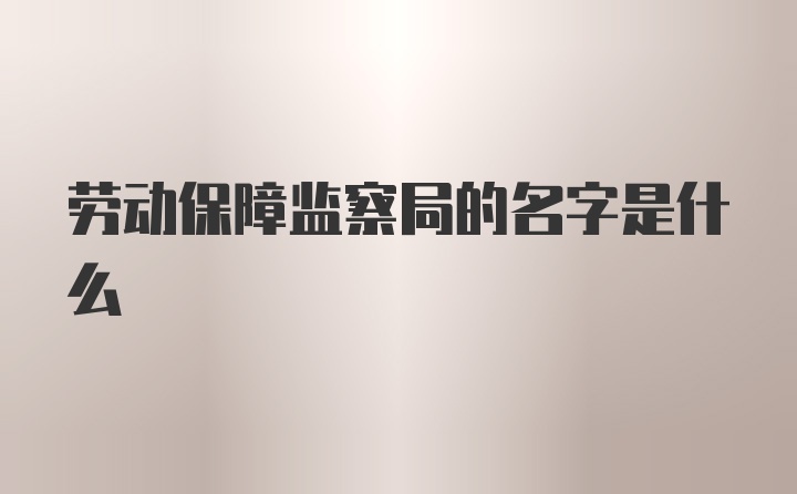 劳动保障监察局的名字是什么