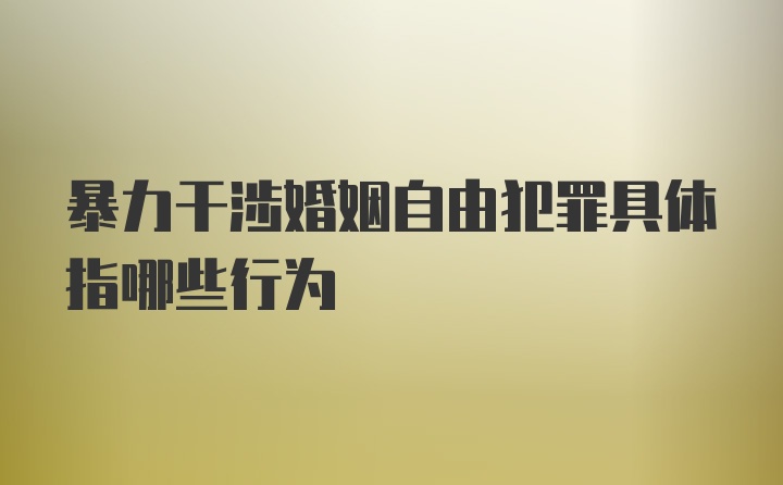 暴力干涉婚姻自由犯罪具体指哪些行为