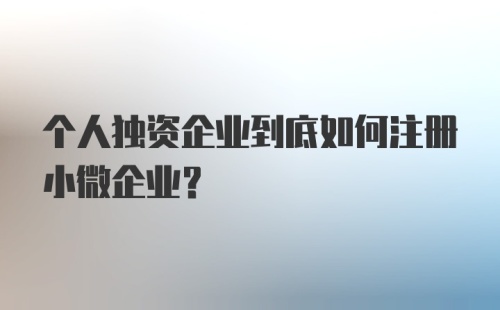 个人独资企业到底如何注册小微企业？