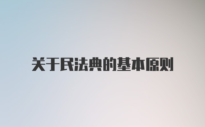 关于民法典的基本原则