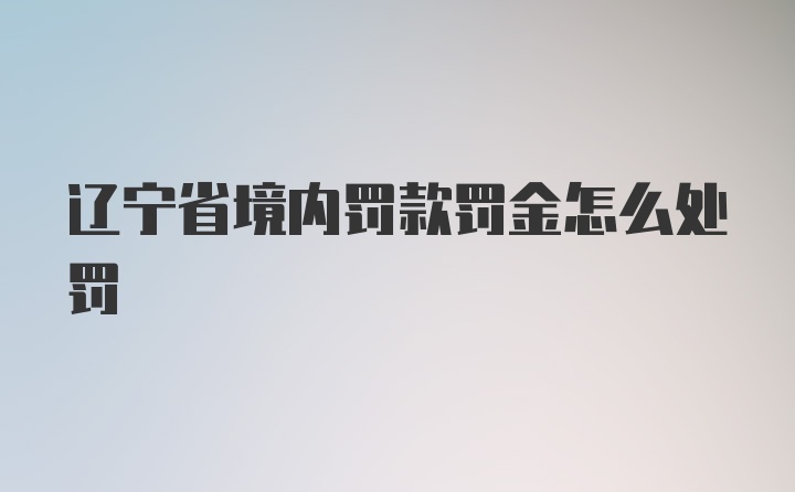 辽宁省境内罚款罚金怎么处罚