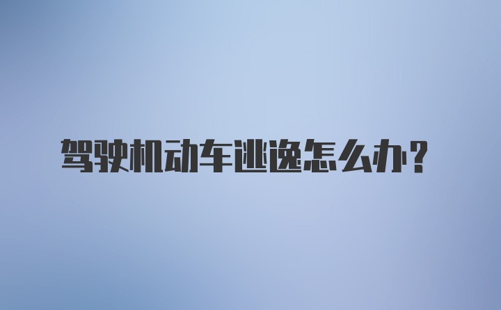 驾驶机动车逃逸怎么办？