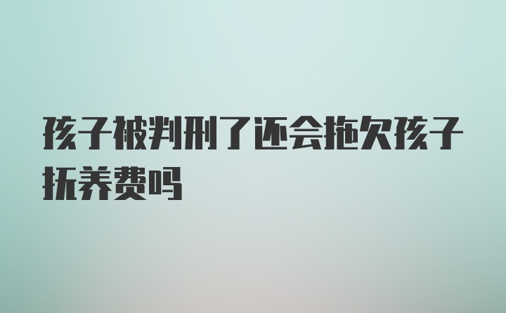 孩子被判刑了还会拖欠孩子抚养费吗