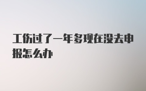 工伤过了一年多现在没去申报怎么办