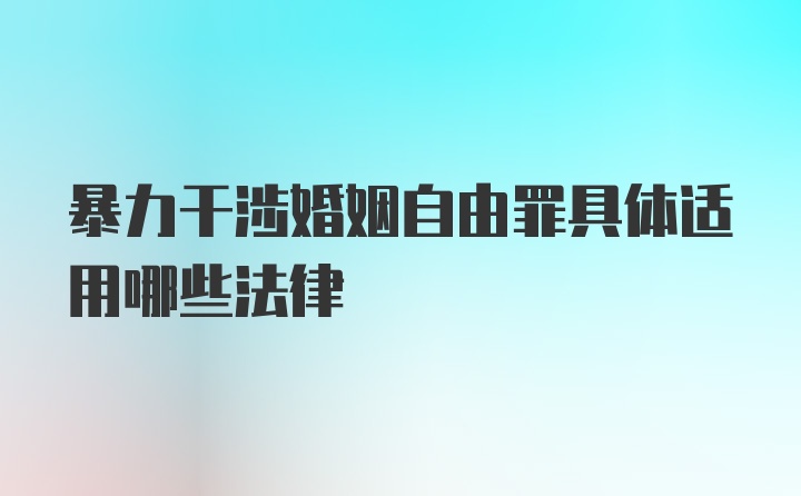 暴力干涉婚姻自由罪具体适用哪些法律