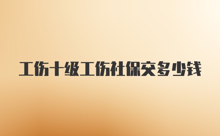 工伤十级工伤社保交多少钱