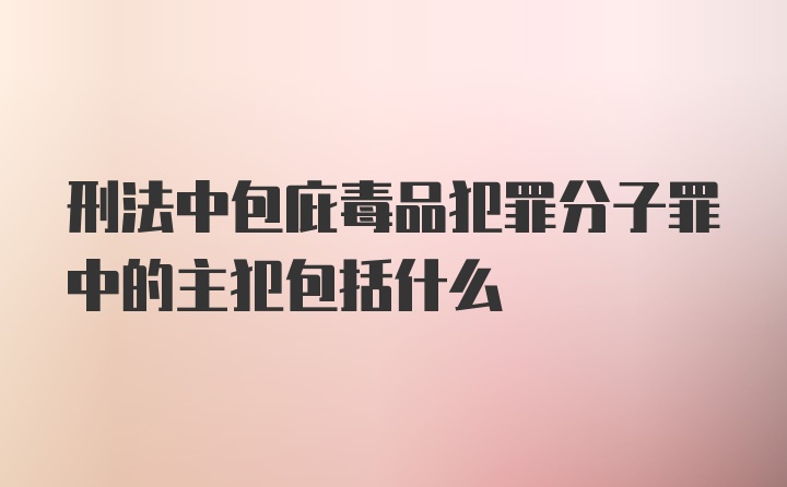 刑法中包庇毒品犯罪分子罪中的主犯包括什么