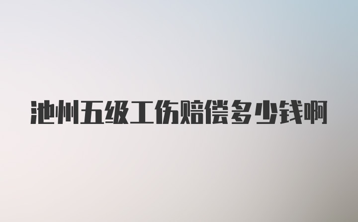 池州五级工伤赔偿多少钱啊