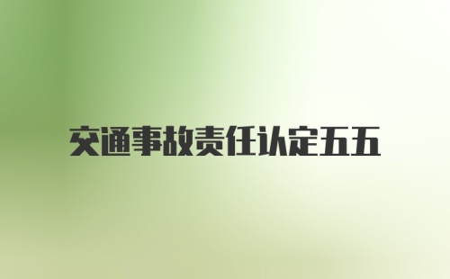 交通事故责任认定五五