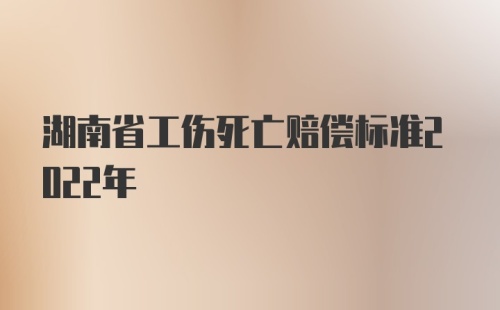 湖南省工伤死亡赔偿标准2022年