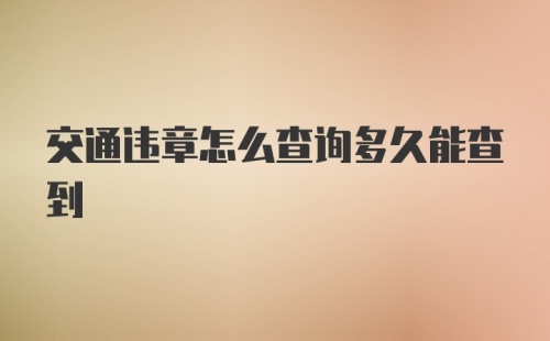 交通违章怎么查询多久能查到