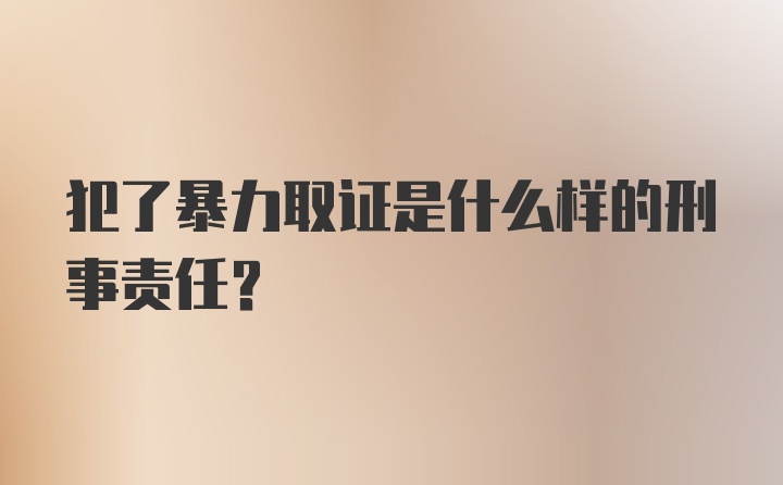 犯了暴力取证是什么样的刑事责任？