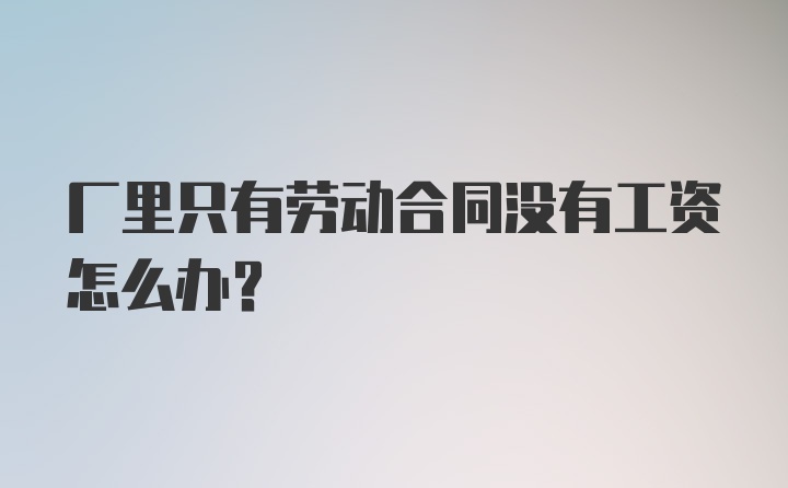 厂里只有劳动合同没有工资怎么办？