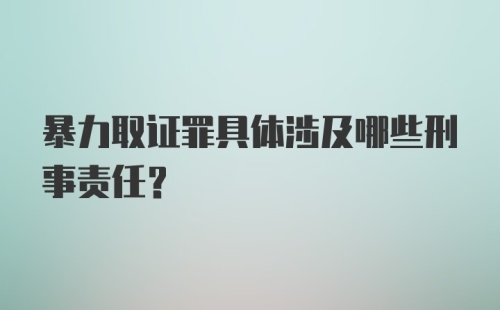 暴力取证罪具体涉及哪些刑事责任？