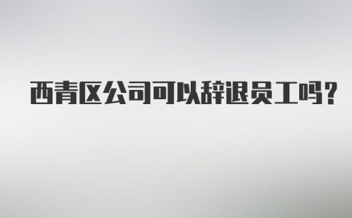 西青区公司可以辞退员工吗？