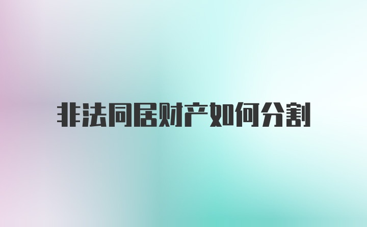 非法同居财产如何分割