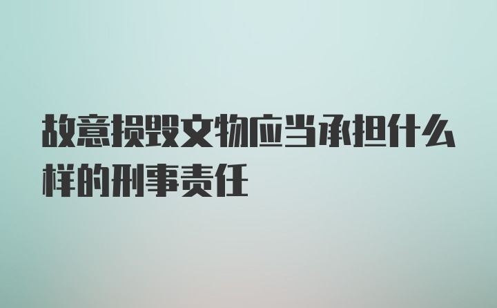 故意损毁文物应当承担什么样的刑事责任