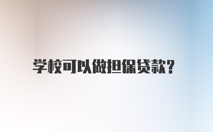 学校可以做担保贷款？