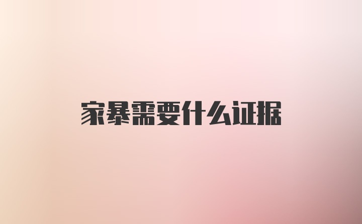 家暴需要什么证据