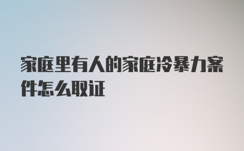 家庭里有人的家庭冷暴力案件怎么取证