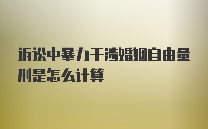 诉讼中暴力干涉婚姻自由量刑是怎么计算