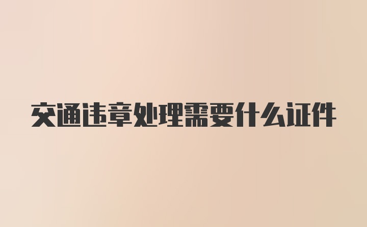 交通违章处理需要什么证件