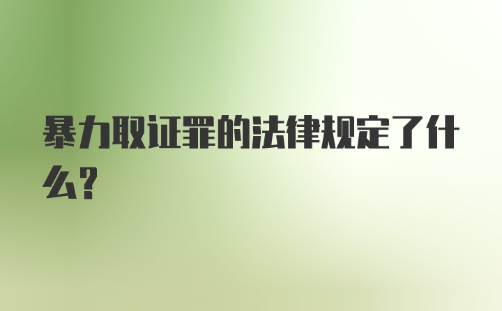 暴力取证罪的法律规定了什么？