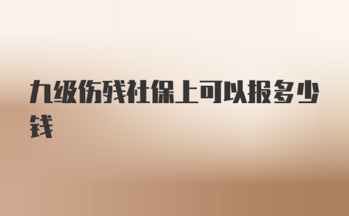 九级伤残社保上可以报多少钱