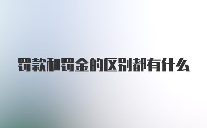 罚款和罚金的区别都有什么