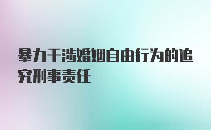 暴力干涉婚姻自由行为的追究刑事责任