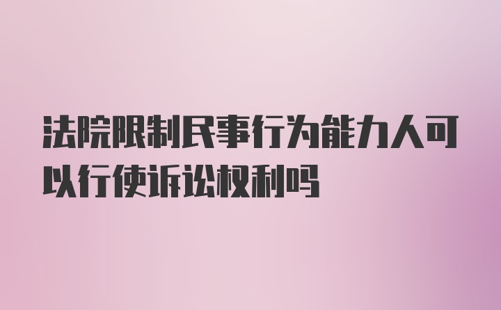 法院限制民事行为能力人可以行使诉讼权利吗