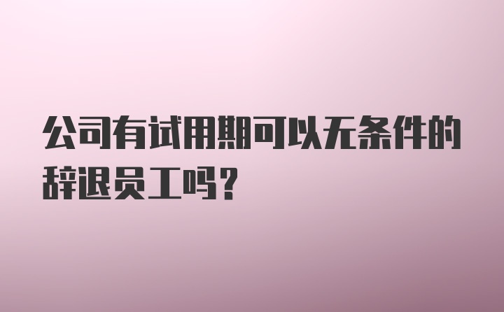 公司有试用期可以无条件的辞退员工吗?